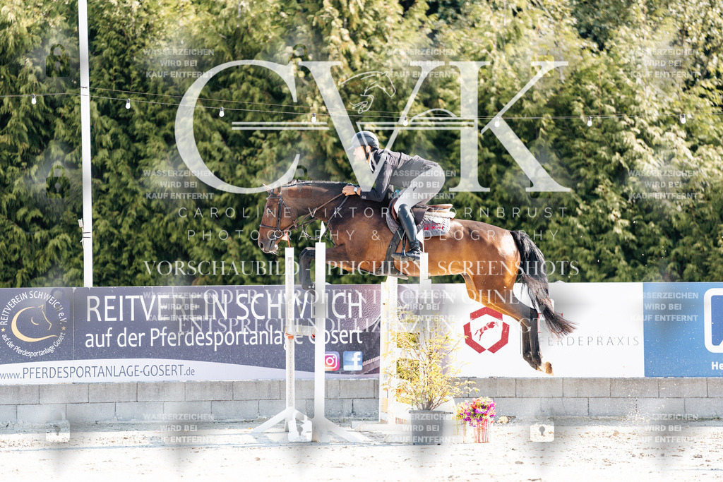 CK902045 | Turnierfotografie Pferdefotografie Trier Rheinland-Pfalz Pferdesport Reitsport Tierfotografie Sportfotografie Pferdevideo Pferdevideografie Equestrianvideography equestrianphotography  - Realisiert mit Pictrs.com