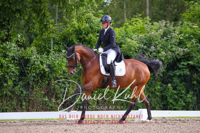 DKP41628 | Turnierfotos kaufen im Webshop von Daniel Kuhl Photography – entdecke professionelle Reitsportfotos aus Turnieren & Events. Hochwertige Turnierbilder online bestellen & sichern. Jetzt Fotos von Reitsportturnieren kaufen!