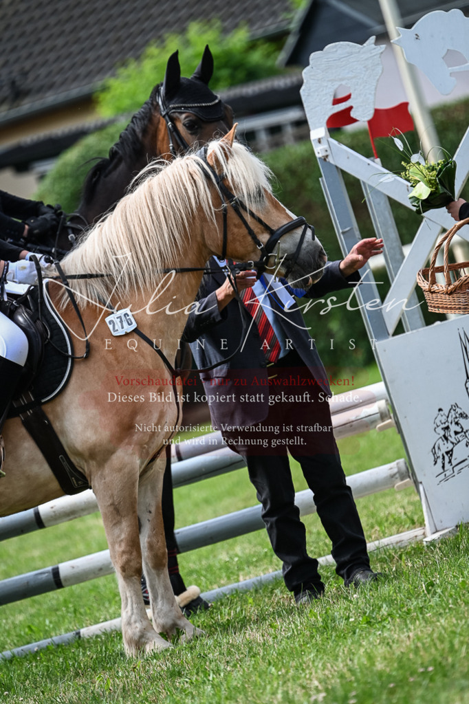 DSC_8683 | Pferde- und Turnierfotografie in Westsachsen. Pferdeportraits, Auftragszeichnungen und intuitive Kunst.