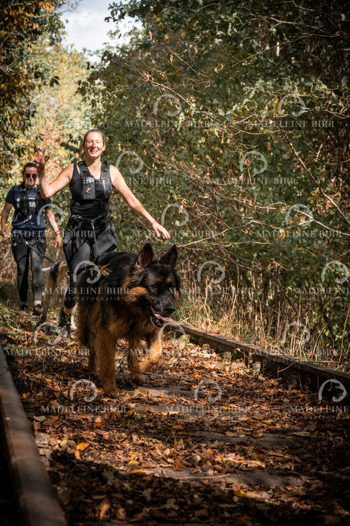 madeleinebirr.fotografie.2026.cc.hunsrueck.12-13Uhr.290 | hundefotografie-birr