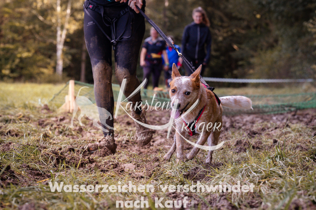 1243_ZZ90794 | kk-dogfotos