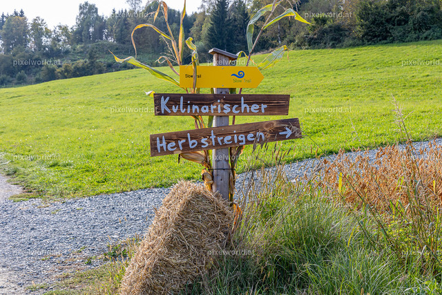 Kulinarischer Herbstreigen am Maltschacher See | Bildershop von pixelworld.at - Realisiert mit Pictrs.com