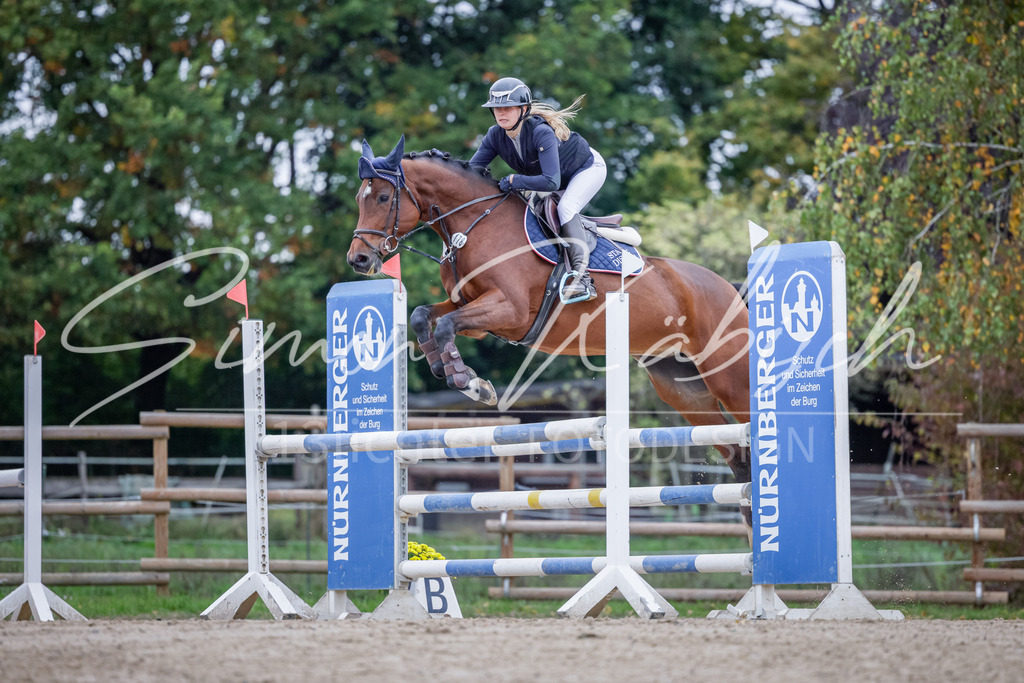 20251012-_3LI4949 | Tierfotografie Pferde, Hunde, Katzen, Haustiere.
Turnierfotografie Reitturniere, Reiten, Springreiten, Dressur in Hanau, dem Main-Kinzig-Kreis und dem Rhein-Main- Gebiet um Frankfurt