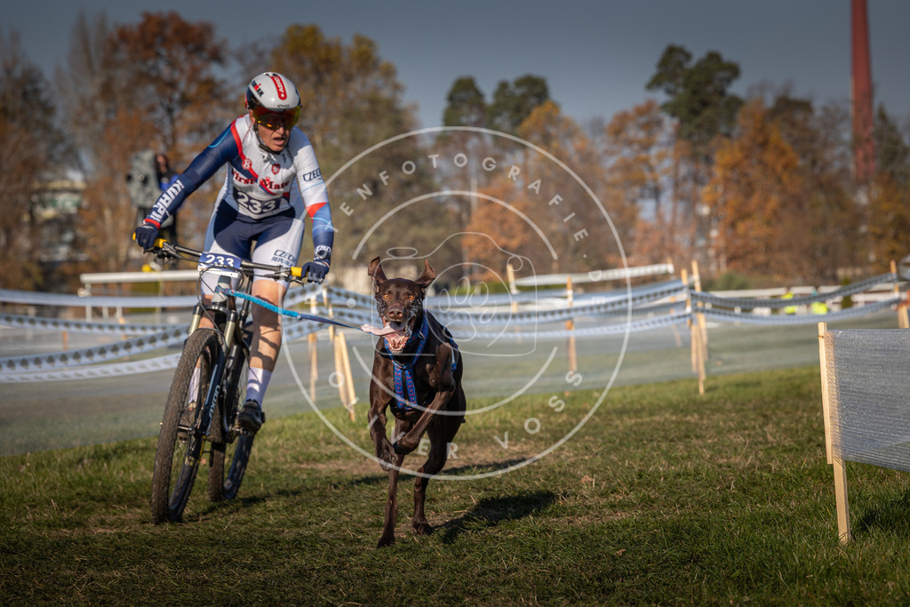 CaniXpix_0L8A6094 | Hundefotografie, Tierfotograf, Pfotenfotografie, Fotoshooting Hund, Hunde Portrait, Hundesport, Hundeportraits, Heideshooting, Hunde, Sportfotograf, Hundefotograf, Turnierhundsport, THS,  - Realisiert mit Pictrs.com