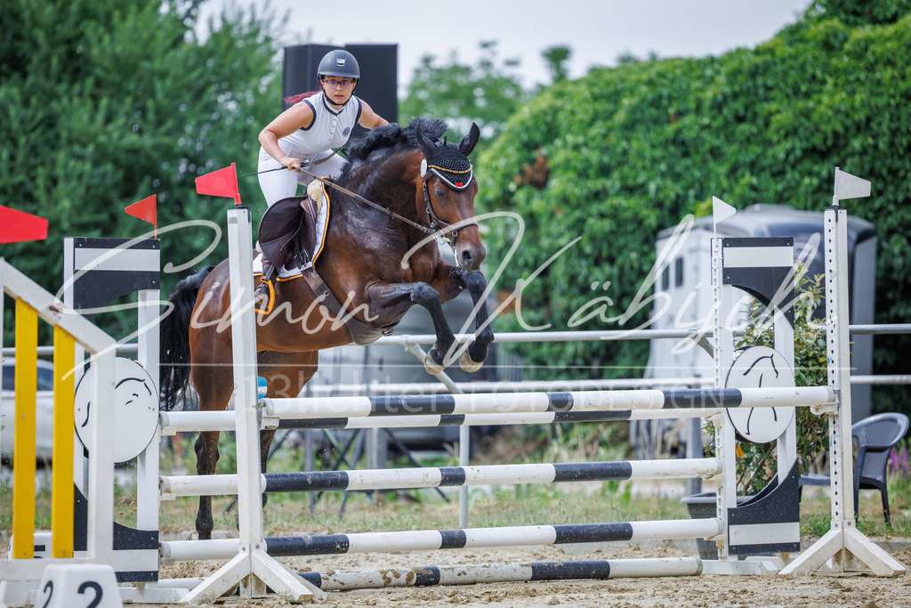 20260705-_3LI4379 | Tierfotografie Pferde, Hunde, Katzen, Haustiere.
Turnierfotografie Reitturniere, Reiten, Springreiten, Dressur in Hanau, dem Main-Kinzig-Kreis und dem Rhein-Main- Gebiet um Frankfurt