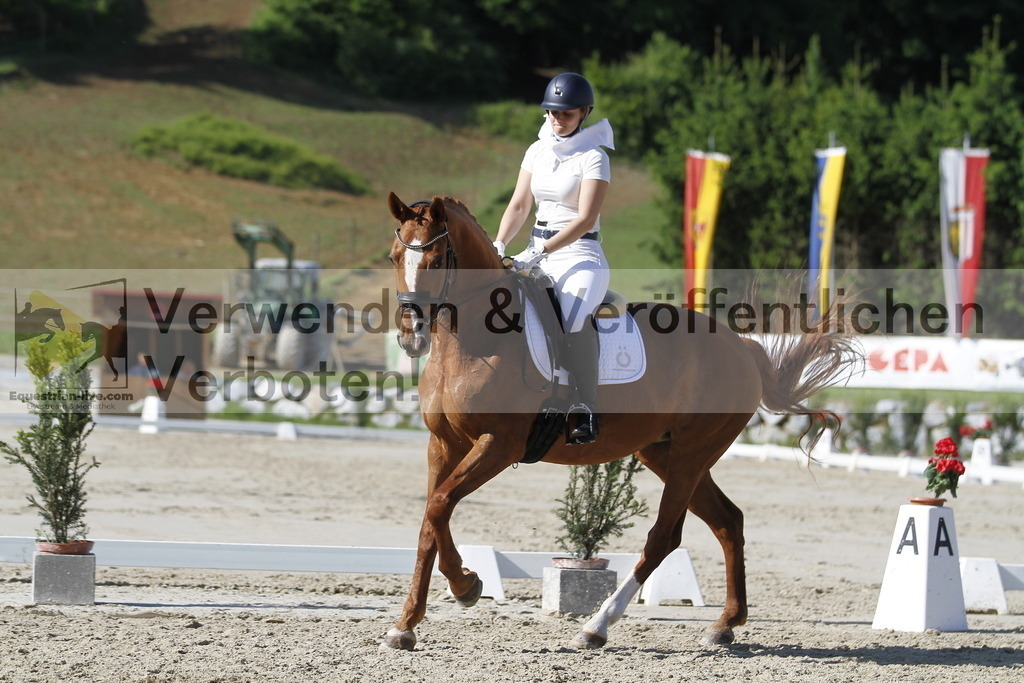 _MG_3097 | equestrian-live-com