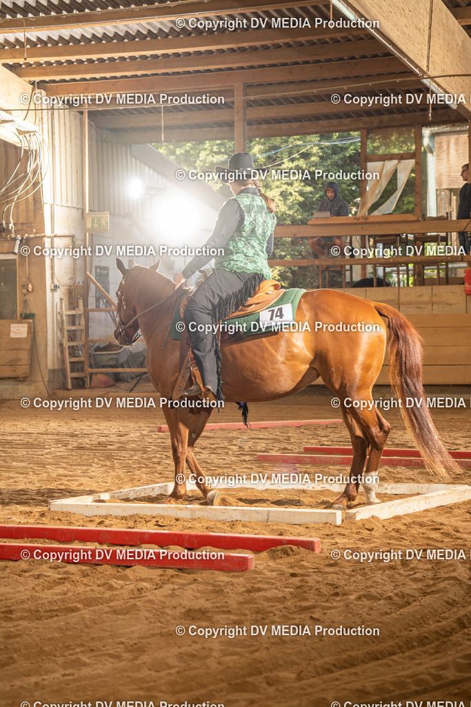 NID02585 | dv-media-shop - Realisiert mit Pictrs.com