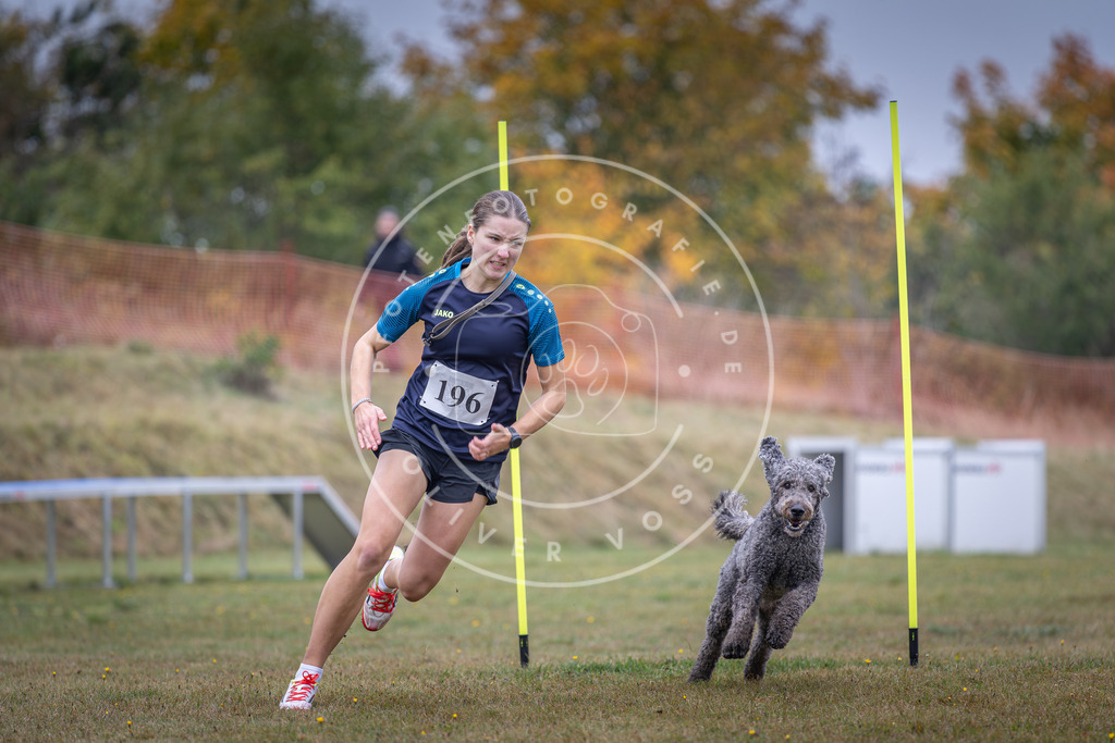 Pfotenfotografie_DV3A1061 | Hundefotografie, Tierfotograf, Pfotenfotografie, Fotoshooting Hund, Hunde Portrait, Hundesport, Hundeportraits, Heideshooting, Hunde, Sportfotograf, Hundefotograf, Turnierhundsport, THS,  - Realisiert mit Pictrs.com