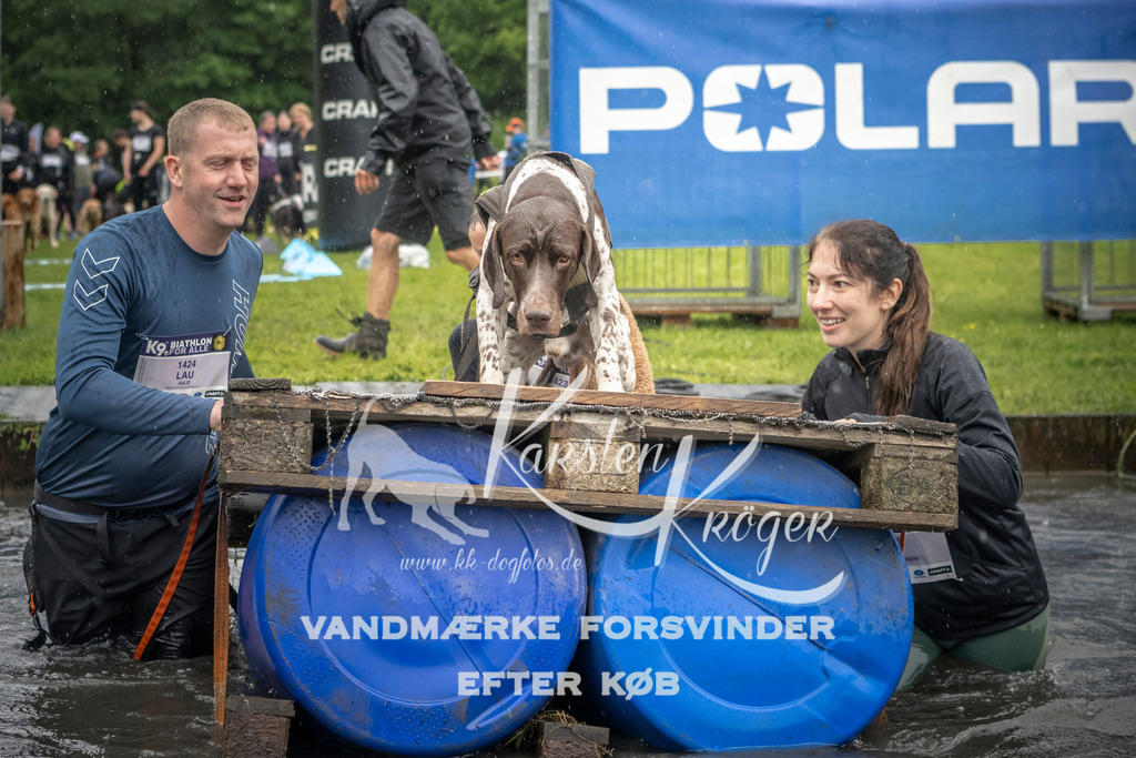 1546_ZZ94571 | kk-dogfotos