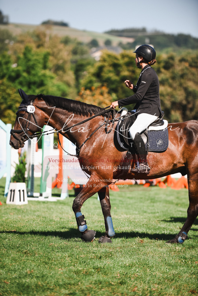 DSC_2599 | Pferde- und Turnierfotografie in Westsachsen. Pferdeportraits, Auftragszeichnungen und intuitive Kunst.