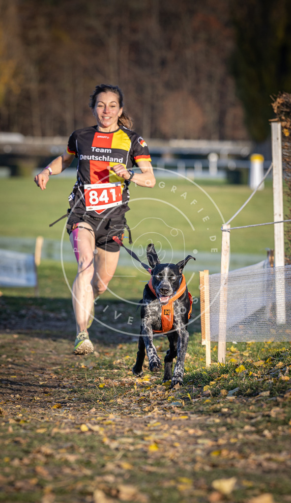 CaniXpix_DV3A3655 | Hundefotografie, Tierfotograf, Pfotenfotografie, Fotoshooting Hund, Hunde Portrait, Hundesport, Hundeportraits, Heideshooting, Hunde, Sportfotograf, Hundefotograf, Turnierhundsport, THS,  - Realisiert mit Pictrs.com