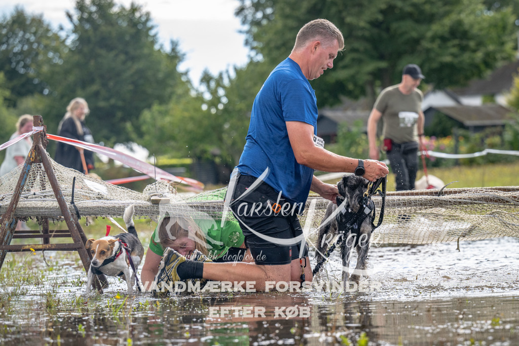 1338_ZZ90464 | kk-dogfotos
