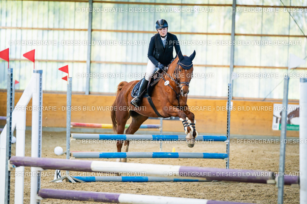 DSC00794 | Pferdegrafie