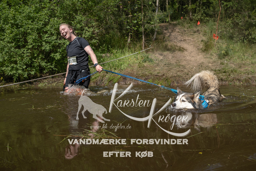 1039DKK991111 | kk-dogfotos