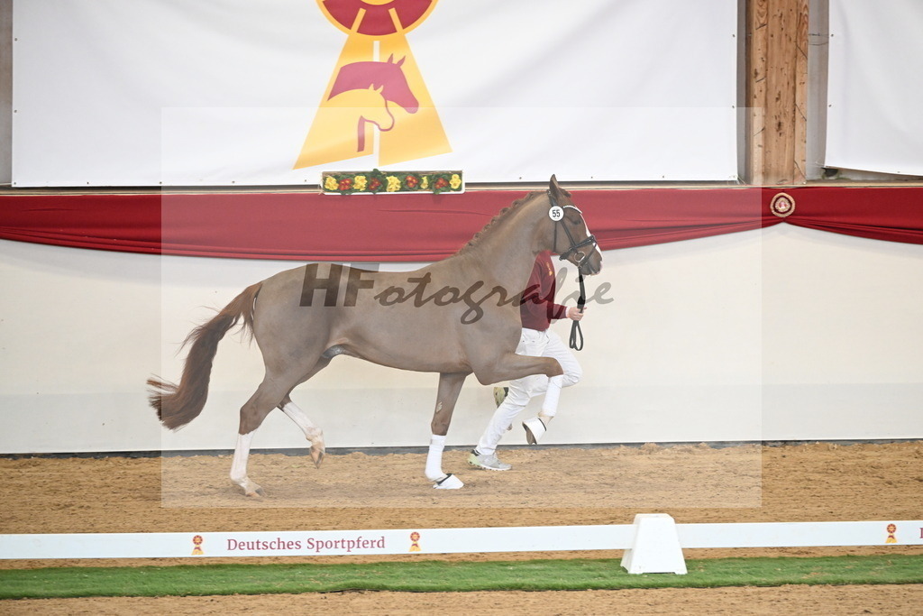 Kat.-Nr. 55 v. Ellis_Senf _ Kampmann_2250401 | hf-fotografie - Realizzato con Pictrs.com