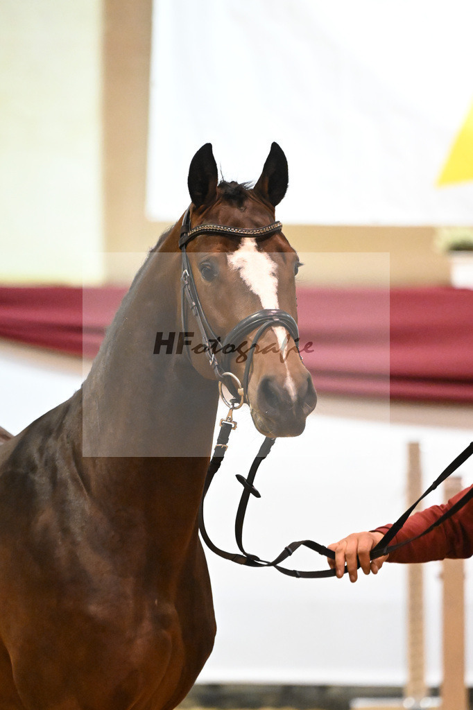 Kat-Nr. 48 Taycan B x Lavall I_Stahl_47241241 | hf-fotografie - Realizzato con Pictrs.com