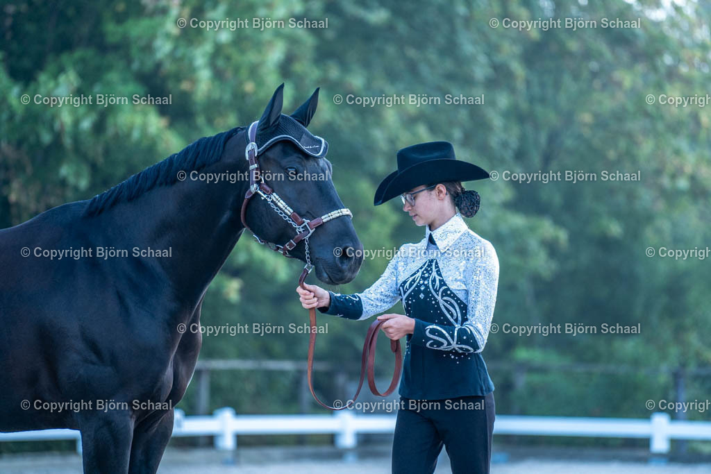 HOB07584 | BS-foto
