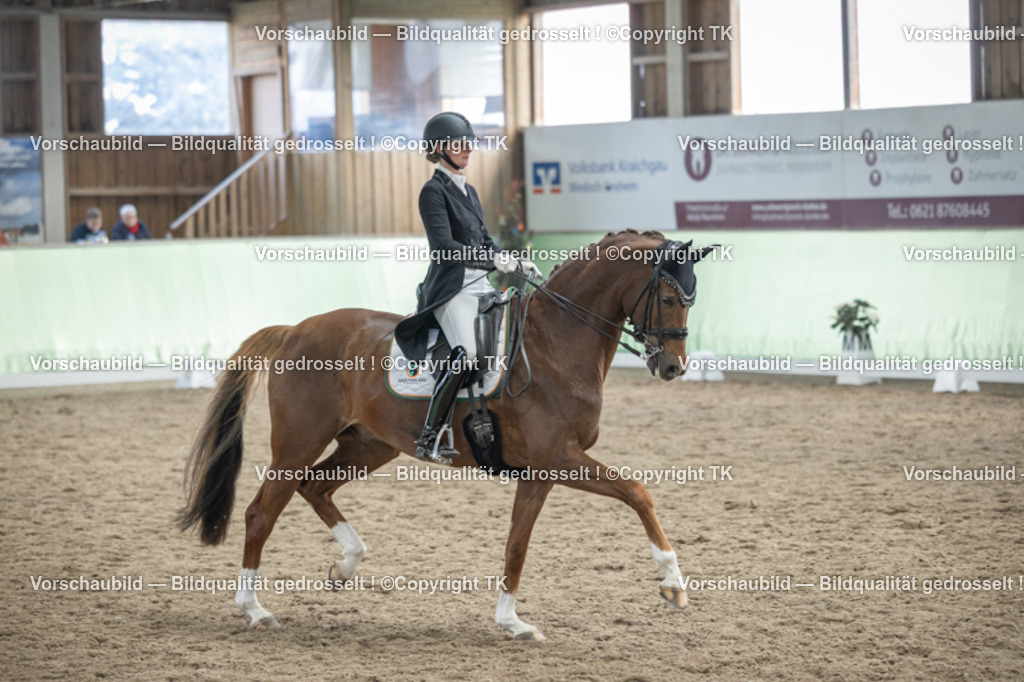 _D5A6425 | Emotionale Pferde- & People-Fotografie rund um Heidelberg, Leimen & Umgebung. Natürliche Fotos von Pferd, Mensch & Familie. Jetzt Termin sichern!