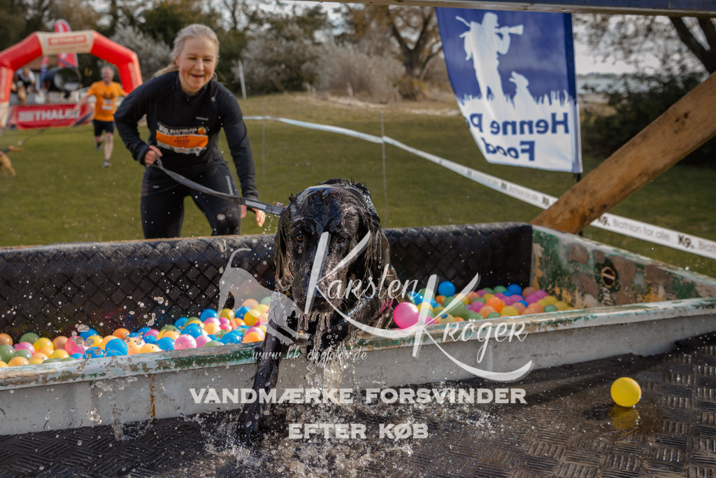 1411_ZZ93724-2 | kk-dogfotos