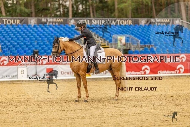 28-8-26 5j DRE-461 | mandyhollmannphotographie
