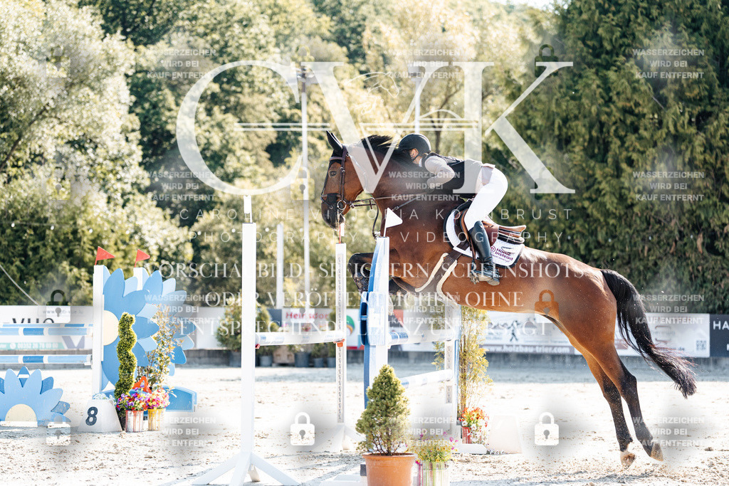 CK902239 | Turnierfotografie Pferdefotografie Trier Rheinland-Pfalz Pferdesport Reitsport Tierfotografie Sportfotografie Pferdevideo Pferdevideografie Equestrianvideography equestrianphotography  - Realisiert mit Pictrs.com