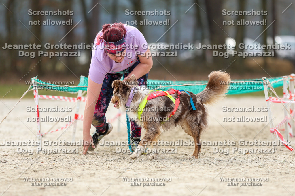 Dog Paparazzi - Strongdog North Mrz26-5640 | Dog Paparazzi Jeanette Grottendiek Fotografie & Videografie - Realisiert mit Pictrs.com
