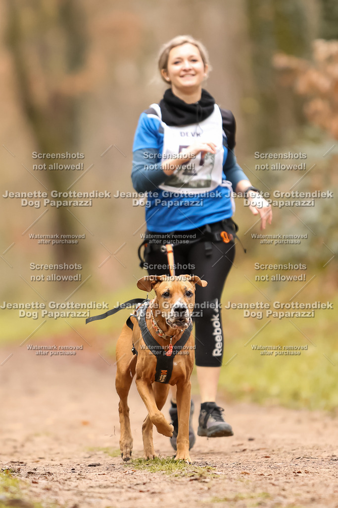 Dog Paparazzi - Speedhunter Mannheim  2025-140 | Dog Paparazzi Jeanette Grottendiek Fotografie & Videografie