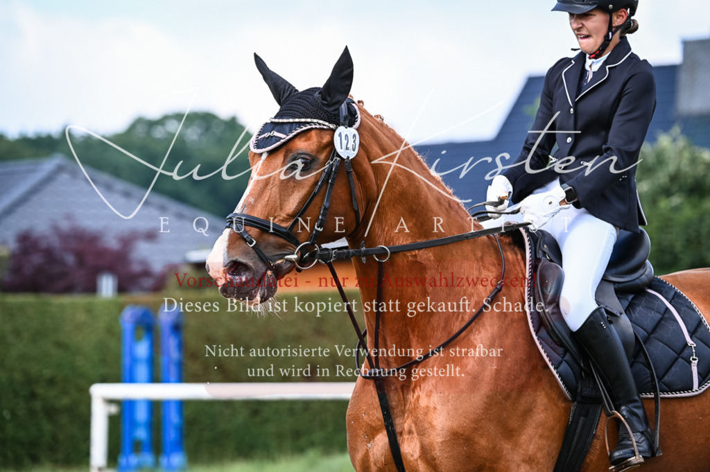 DSC_7961 | Pferde- und Turnierfotografie in Westsachsen. Pferdeportraits, Auftragszeichnungen und intuitive Kunst.