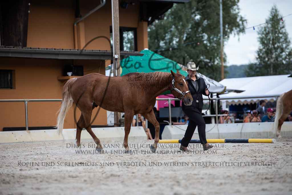 20220623-JuliaEndrejatPhotography-0963 | Julia Endrejat Photography