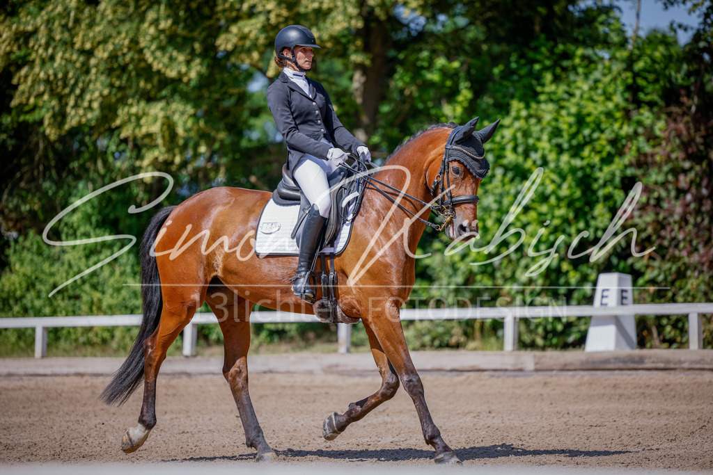 20250621-_3LI9306 | Tierfotografie Pferde, Hunde, Katzen, Haustiere.
Turnierfotografie Reitturniere, Reiten, Springreiten, Dressur in Hanau, dem Main-Kinzig-Kreis und dem Rhein-Main- Gebiet um Frankfurt