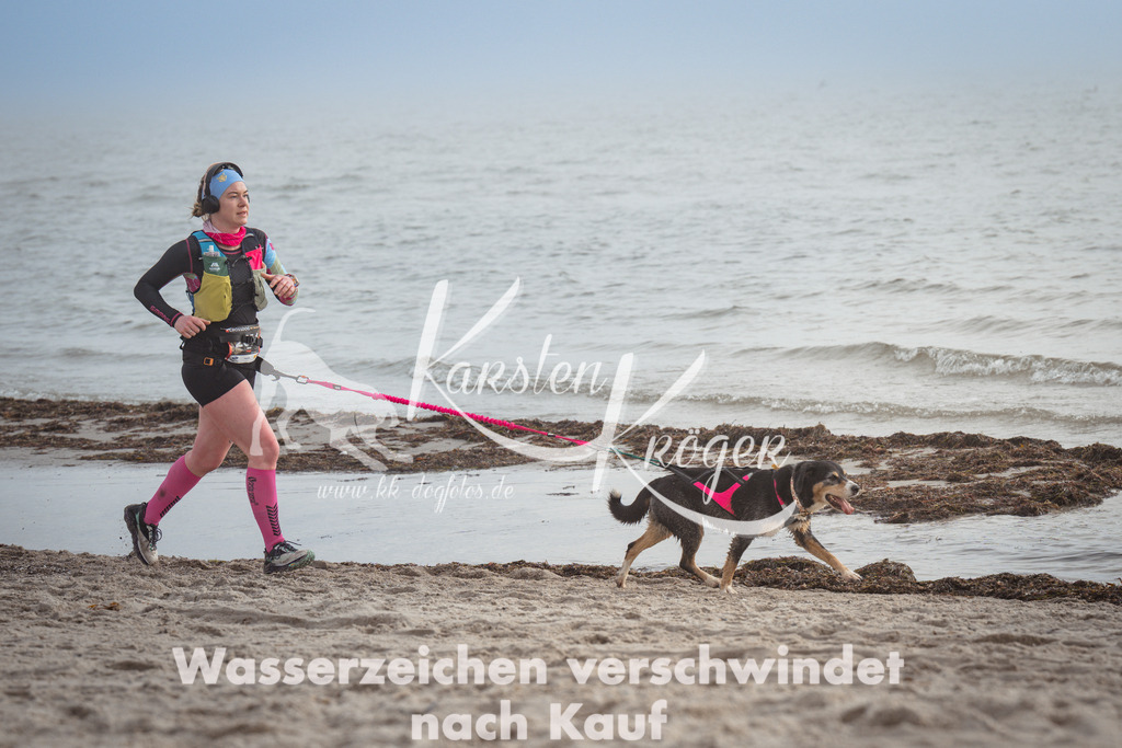 1134_ZZ99405 | kk-dogfotos