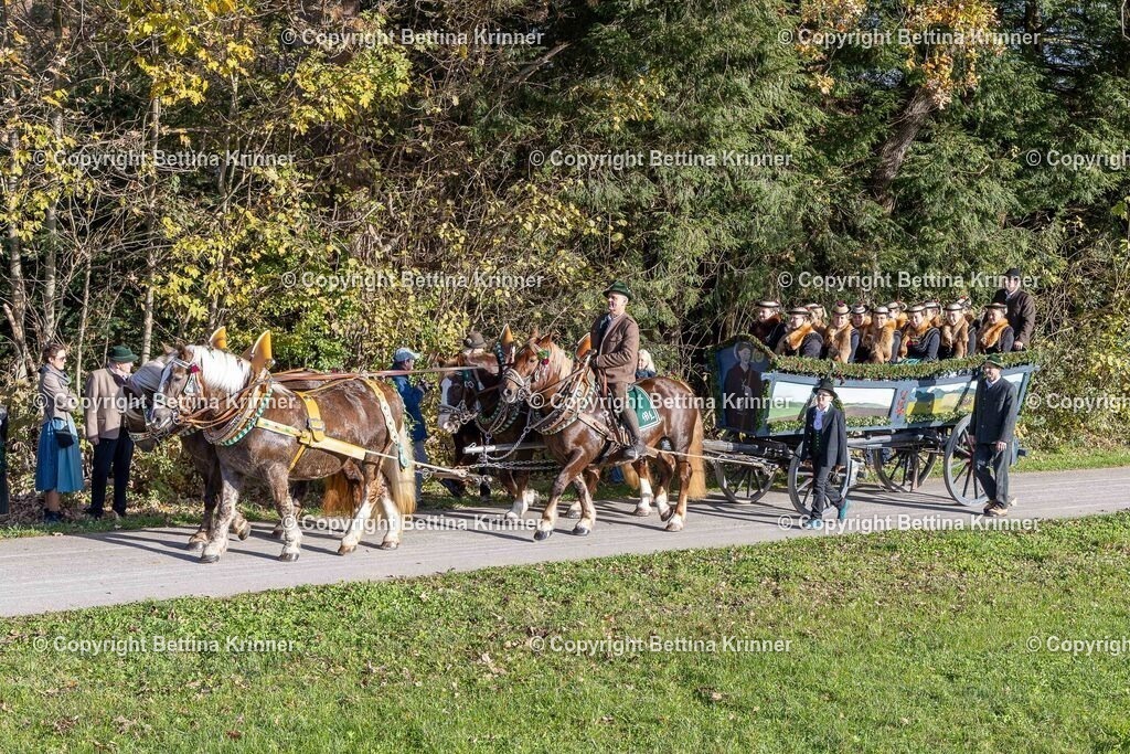 LBT24-97 | foto-bettina-krinner - Realisiert mit Pictrs.com