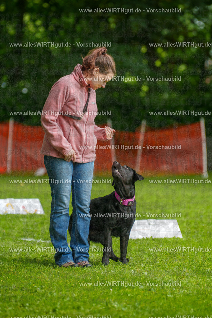 @allesWIRTHgut_Tierfotografie - www.allesWIRTHgut.de - 7R503145 | Professionelle Tierfotografie in Mönchengladbach von Daniel Wirth (allesWIRTHgut). Liebevolle & natürliche Bilder von Hunden & Katzen für unvergessliche Erinnerungen.