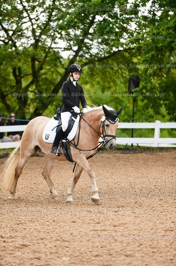 20230716_10-1_Reiter-WB Schritt - Trab - Galopp_0226 | equistock