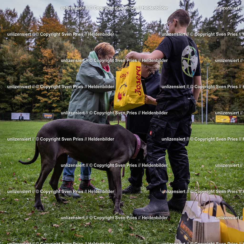 Sven Pries | 2024-10-19 - Hunderennen Ober-Grombach - Realisiert mit Pictrs.com