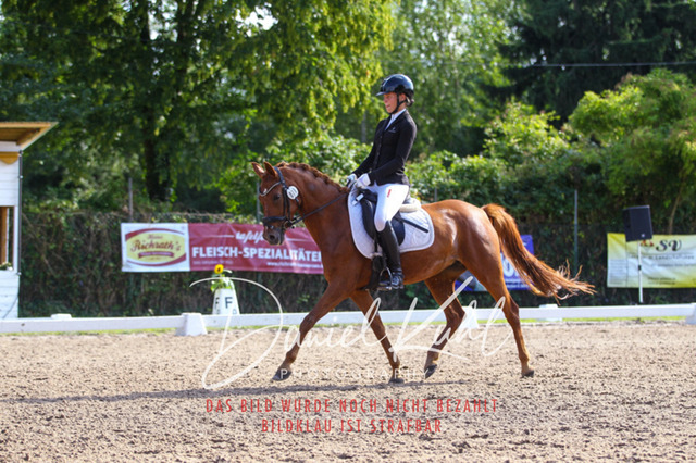 DKP43050 | Turnierfotos kaufen im Webshop von Daniel Kuhl Photography – entdecke professionelle Reitsportfotos aus Turnieren & Events. Hochwertige Turnierbilder online bestellen & sichern. Jetzt Fotos von Reitsportturnieren kaufen!