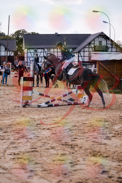 2026_10_03_Siefer-Hof_144927_Z81_27424819 | Professionelle Reitsport-, Turnier- und Eventfotografie von Robert Broda. Galerien mit ausgewählten und bearbeiteten Bildern direkt online ansehen und bestellen.