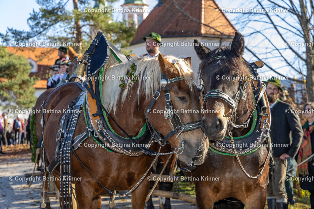 LBT25-1200 | foto-bettina-krinner - Realisiert mit Pictrs.com