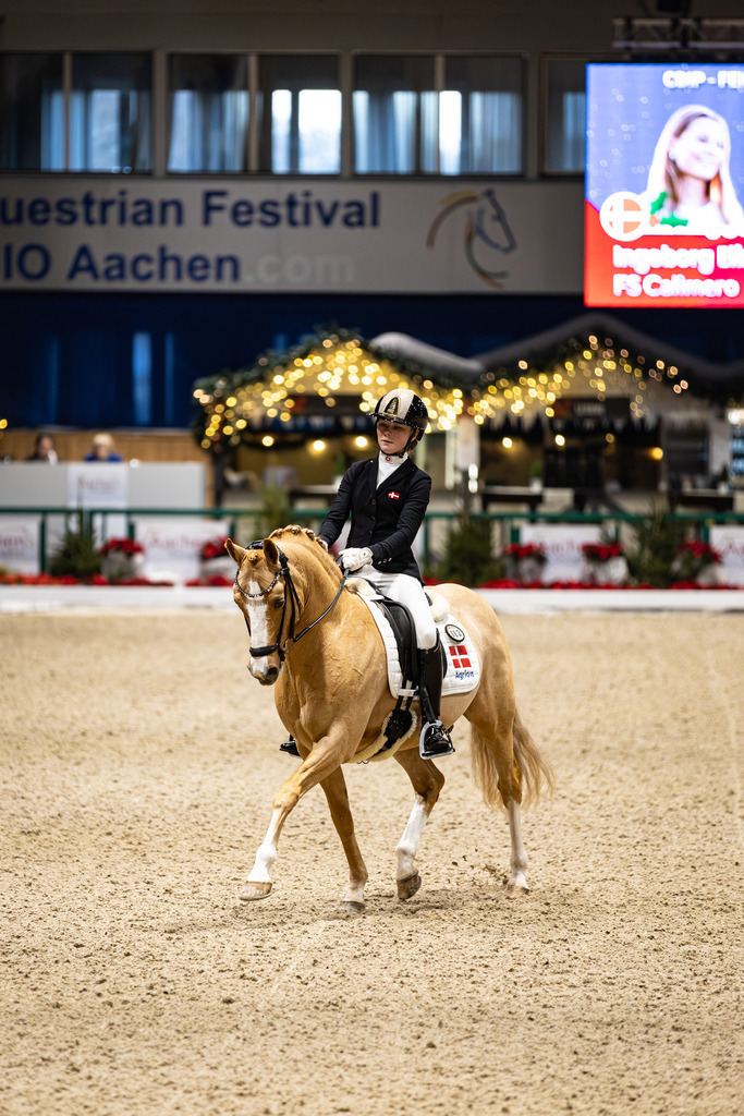 126A4812 | jasminmetznerfotografie