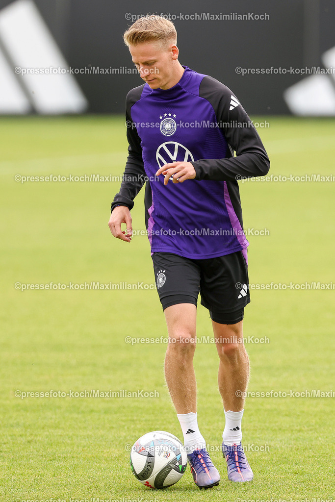 DFB08092402061 | 08.09.2024, Düsseldorf, Fußball, öffentliches Training der DFB Nationalmannschaft Deutschland,  Paul-Janes-Stadion: Chris Führich (GER #11)DFB regulations prohibit any use of photographs as image sequences and or quasi-video.
