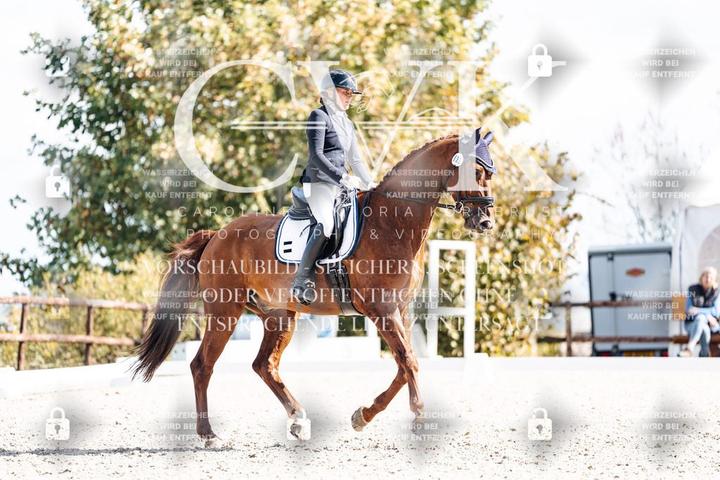 CK902646 | Turnierfotografie Pferdefotografie Trier Rheinland-Pfalz Pferdesport Reitsport Tierfotografie Sportfotografie Pferdevideo Pferdevideografie Equestrianvideography equestrianphotography  - Realisiert mit Pictrs.com