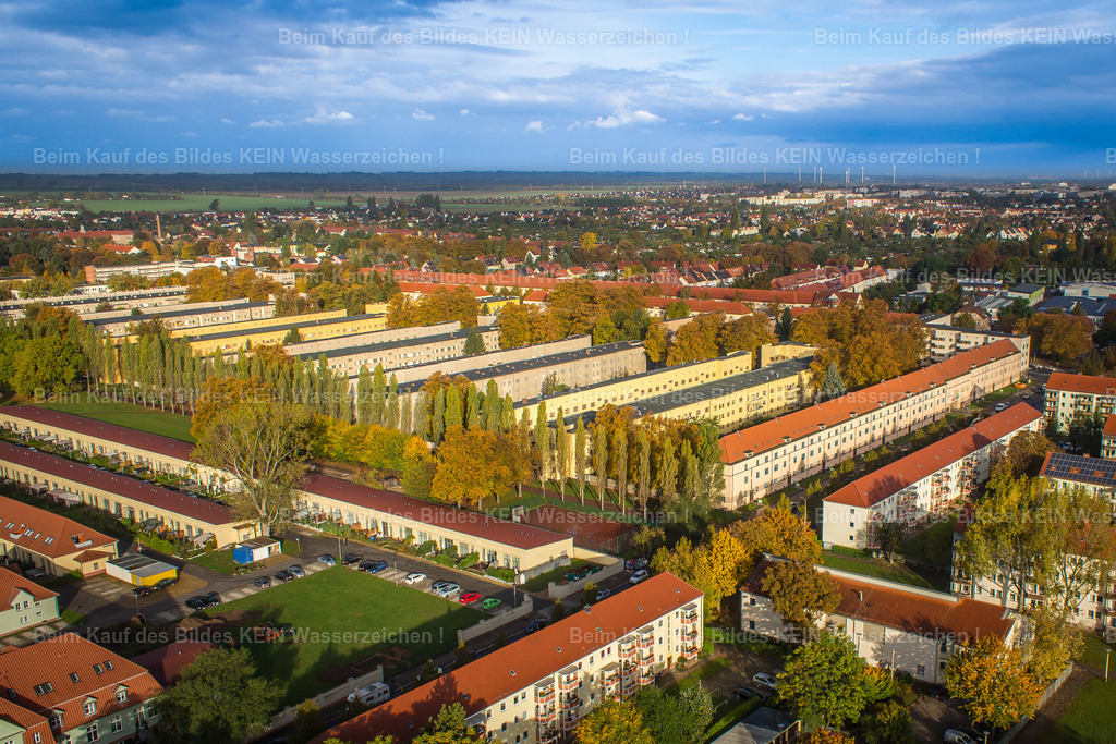 2_Magdeburg Moderne Lehmann_5256 | Die Hermann-Beims-Siedlung zählt zu den bedeutendsten Wohnsiedlungen der klassischen Moderne in Deutschland. Sie entstand zwischen 1924 und 1932 unter Oberbürgermeister Hermann Beims, der den dringend benötigten sozialen Wohnungsbau in Magdeburg entscheidend vorantrieb. Stadtbaurat **Bruno Taut** entwickelte den städtebaulichen Gesamtplan, während Architekten wie Carl Krayl, Johannes Göderitz und Paul Schaeffer-Heyrothsberge die einzelnen Wohngebäude entwarfen. Gemeinsam schufen sie ein Quartier, das bis heute als herausragendes Beispiel des Neuen Bauens gilt. Das Leitbild der Siedlung lautete: Licht, Luft und Sonne. Großzügige Innenhöfe, breite Grünflächen, moderne Grundrisse und eine aufgelockerte Bebauung sollten den Bewohnern eine deutlich höhere Lebensqualität bieten als die engen Mietskasernen der Gründerzeit. Charakteristisch sind die klaren kubischen Bauformen, die abwechslungsreiche Farbgestaltung und die harmonische Einbindung der Gebäude in das grüne Umfeld – Merkmale, die der Magdeburger Moderne bis heute ihren unverwechselbaren Charakter verleihen.Heute steht die Hermann-Beims-Siedlung unter Denkmalschutz und gilt als eines der wichtigsten Zeugnisse der Architektur der Weimarer Republik. Sie macht eindrucksvoll deutlich, wie visionär Magdeburg bereits vor rund 100 Jahren dachte und warum die Stadt zu den bedeutendsten Zentren moderner Architektur in Deutschland zählt. - Realisiert mit Pictrs.com
