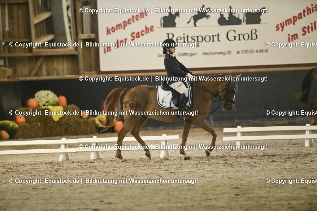 20231029_04_Dressur-WB_0053 | Foto: Thomas Hartig