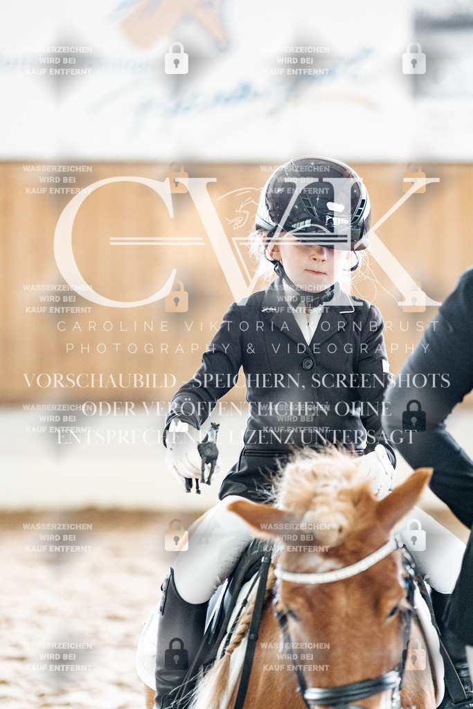 CK902312 | Turnierfotografie Pferdefotografie Trier Rheinland-Pfalz Pferdesport Reitsport Tierfotografie Sportfotografie Pferdevideo Pferdevideografie Equestrianvideography equestrianphotography  - Realized with Pictrs.com