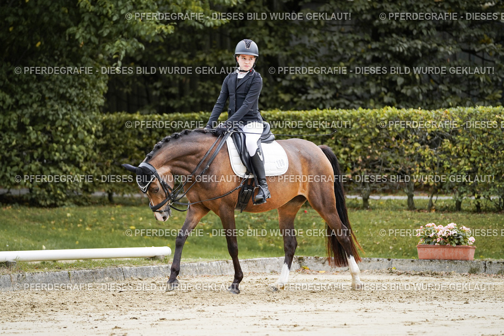 DSC04923 | Pferdegrafie