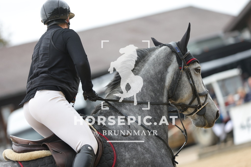 0P6A3242 | Willkommen bei Brunnmayr - Design & Fotografie – Ihrem Spezialisten für Reitturniere und Pferdeveranstaltungen in Oberösterreich, Salzburg und Bayern! Seit über 17 Jahren sind wir leidenschaftlich dabei.