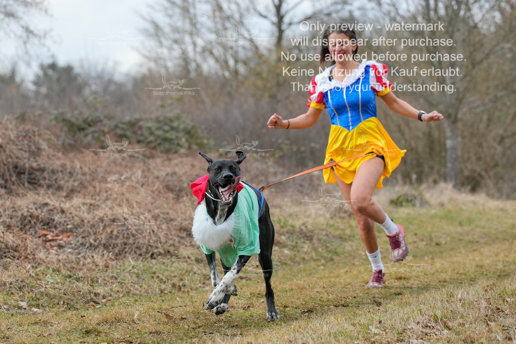 Fasching-4 | stephaniefillaphotographie - Realisiert mit Pictrs.com