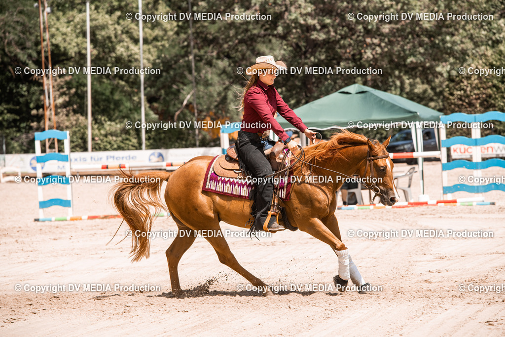 ZS3_0033 | dv-media-shop - Realisiert mit Pictrs.com