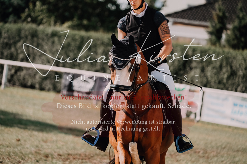 DSC_4724 | Pferde- und Turnierfotografie in Westsachsen. Pferdeportraits, Auftragszeichnungen und intuitive Kunst.