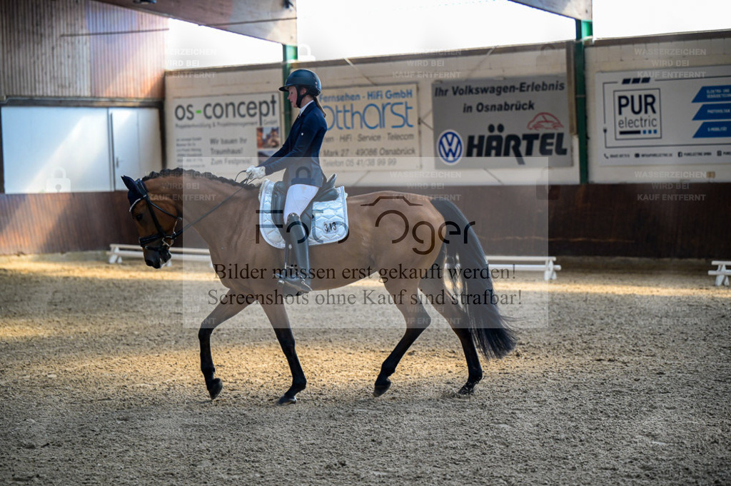 Reitturnier Voxtrup | Entdecke hochwertige Reitturnierfotos von Foto Oger. Professionell, emotional und authentisch – jetzt Lieblingsmomente im Shop bestellen. - Realisiert mit Pictrs.com